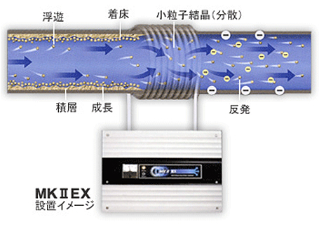 ドールマンシステムとは？